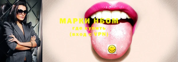 СК Медногорск