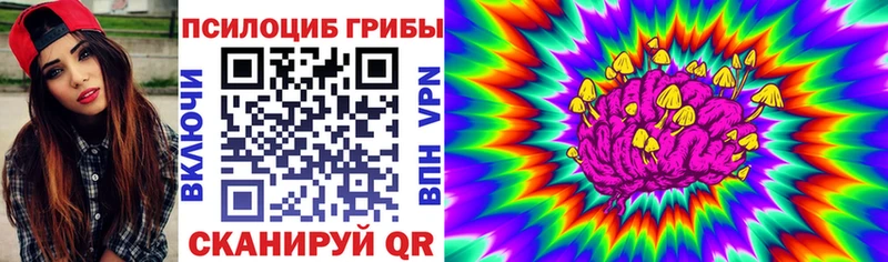 Псилоцибиновые грибы Cubensis  наркота  Сычёвка 